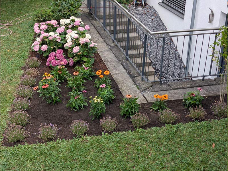 Gartenservice Kreider Gartenunterhalt Hecken schneiden Rasenpflege Bepflanzung Wetzikon