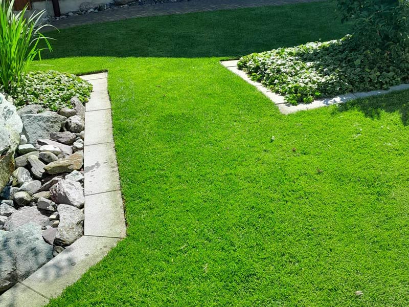 Gartenservice Kreider Gartenunterhalt Hecken schneiden Rasenpflege Bepflanzung Wetzikon