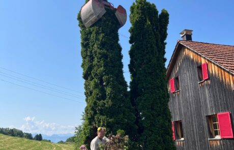 kreider-gartenunterhalt-wetzikon-bepflanzen-baumschnitt Gartenservice Kreider Gartenunterhalt Hecken schneiden Rasenpflege Bepflanzung Wetzikon