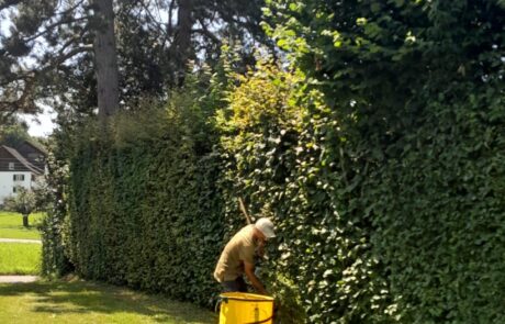 kreider-gartenunterhalt-wetzikon-bepflanzen-hecken-schneiden Gartenservice Kreider Gartenunterhalt Hecken schneiden Rasenpflege Bepflanzung Wetzikon